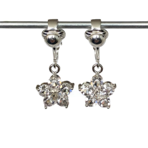 Clipoorbellen glitterbloem kleurloos, hangoorbellen